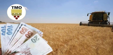 Şanlıurfa'da çiftçilerin beklediği haber geldi!