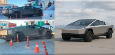 Şanlıurfa’da ilk kez görüntülendi! Bakan bir daha baktı