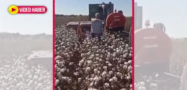Türkiye'de Selçuk Bayraktar'ın insansız uçağı   Urfa'da da amelesiz makine