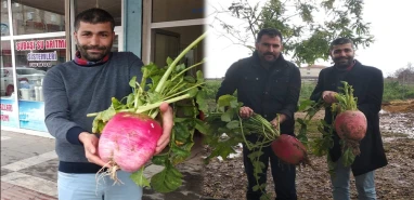 Şanlıurfa’da görenlerin ağzı açık kaldı! Tek başına 3,5 kilo ağırlığında