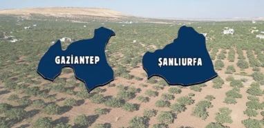Üreten Şanlıurfa kaymağını yiyen Gaziantep