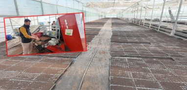 Şanlıurfa’da çiftçiye can suyu olacak üretim! Tam 1 milyon adet…