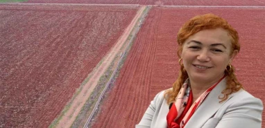 Uluslararası örgütten uyarı  Urfa için tehlike çanları çalıyor