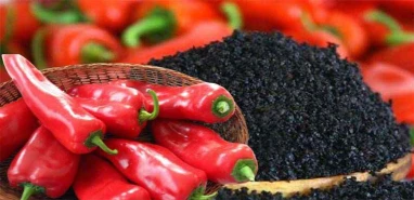 Dünya biber sıralamasında Urfa imzası! Türkiye’den listeye giren tek lezzet