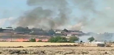 Urfa’da hasada günler kala büyük felaket! Çiftçinin bir yıllık emeği küle döndü