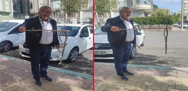 Urfa’da yılanlar cirit atıyor