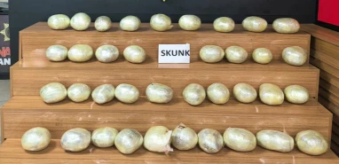 Emniyetten bir başarılı operasyon daha: Tam 34 kilo...