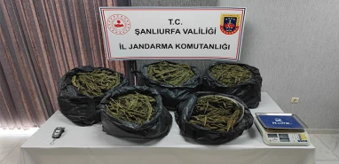 Şanlıurfa'da zehir tacirlerine göz açtırılmıyor!