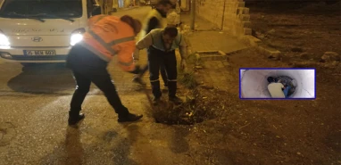 Viranşehir’de sağanak yağışa karşı önlem alındı