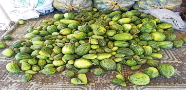 ‘Viranşehir mangosu’ tezgahlarda!