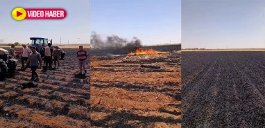 Emeğe ateş düştü: Şanlıurfa'da 150 dönüm buğday tarlası kül oldu