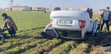 Şanlıurfa’da otomobil buğday tarlasına devrildi!