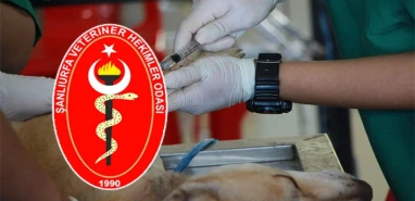 Urfa’da veteriner hekimler pazartesi iş bırakacak