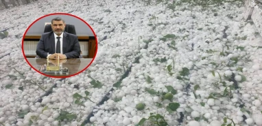 Şanlıurfalı tarım işçilerinin yardımına Başkan Delioğlu yetişti