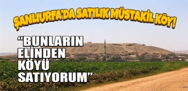 Şanlıurfa’da köyü bakın ne için satılığa çıkarmış!