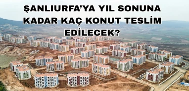 İşte il il teslim edilecek konut sayısı! Şanlıurfa’ya kaç konut düşüyor?