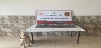 Viranşehir’de 2 bin paketten fazla ele geçirildi