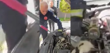 Şanlıurfa itfaiyesi kurtardı... 5'i de aynı yerde sıkıştı