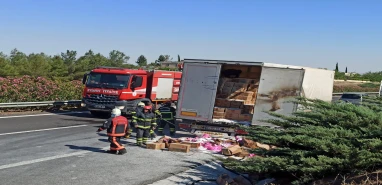 Şanlıurfa'da seyir halindeki TIR'da yangın! Ekiplerden müdahale