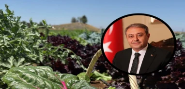 Şanlıurfalı kadın çiftçinin yardım çığlığına yanıt! Vali devreye girdi...