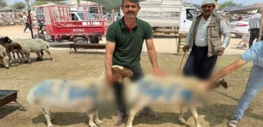 Şanlıurfa'da görenler şaştı kaldı! Ali Koç'a 'Kurbanlık' protesto