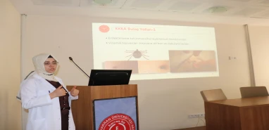 Şanlıurfa'nın yeni kabusu: KKKA!