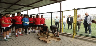 Şanlıurfa'da sezon böyle başladı! Yerde kurbanlık dilde dualar...