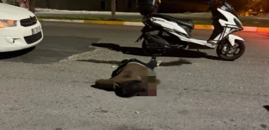 Şanlıurfa'da trafikte dehşet! Sırtından bıçaklandı