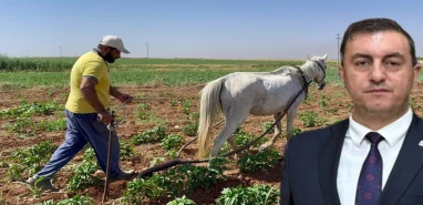 Anahtar Parti'den Şanlıurfalı çiftçiler için çağrı: Borç ertelensin!