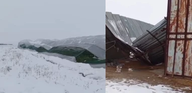 Şanlıurfa'da kar çiftçi ve besicileri vurdu! Acil destek çağrısı