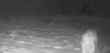 Ve efsane bir kez daha sahnede! Korkusuz adımları kameralarda