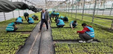 Şanlıurfa’da 'tarımla' onarıcı adalet modeli: Hem eğitici hem iyileştirici!