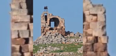 Şanlıurfa'da tepki çeken görüntü: 'Nemrut'un tahtı' üzerinde halay çektiler!