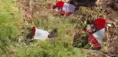 Böylesi görülmedi: Şanlıurfa'da plastik kutulardakiler kan dondurdu...