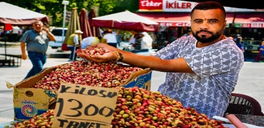 Şanlıurfa'da altın değerinde fıstık: "Tane fiyatı" belli oldu!