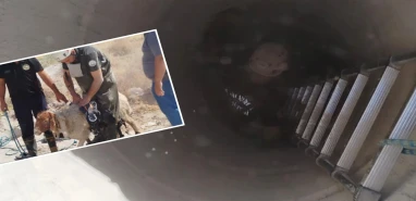 Şanlıurfa İtfaiyesinden kurtarma operasyonu: Günlerdir aranıyordu, kuyudan çıktı...