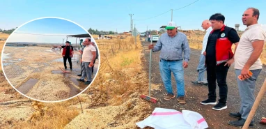 Şanlıurfa'da olan baklavalık fıstığa oldu! "Çiftçinin mağduriyeti giderilsin"