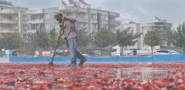 Urfa’da isot kurutanları panikleten yağış! Herkes damlara koştu