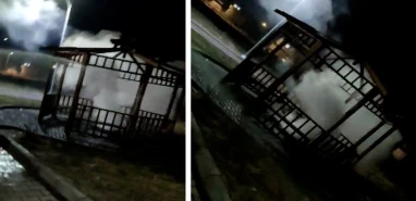 Şanlıurfa’da çirkin saldırı! Kamelyayı yaktılar