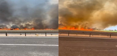 Şanlıurfa’da çiftçinin emeği kül oldu! 100 dönüm…