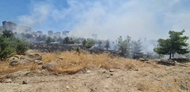 Urfa'da çıkan orman yangını kontrol altına alındı!