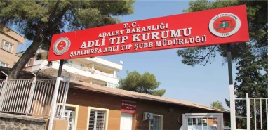 Şanlıurfa'da otomobilin çarptığı yaya can verdi!