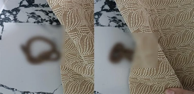 Şanlıurfa'da ‘pes artık’ dedirten olay: Evdeki halıyı kaldırdı, hayatının şokunu yaşadı!