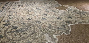 Şanlıurfa’da 1500 yıllık bir hazine daha: Yukarı Göklü Köyü Mozaiği