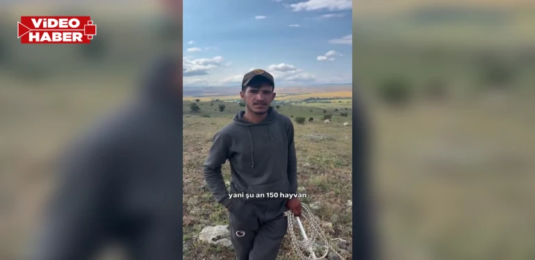 Sosyal medya Şanlıurfalı çobanı konuşuyor! Konaklama bedava, maaş 100 bin TL