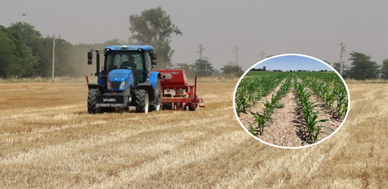 Şanlıurfa’da sürmeden, yakmadan doğrudan üretim