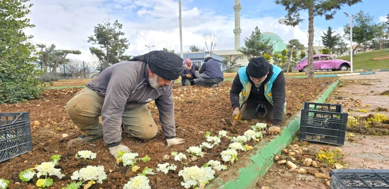 Eyyübiye’de bahar öncesi sürpriz hamle! Binlerce fidan toprakla buluşuyor
