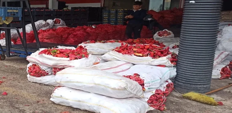 Urfa hali biberle doldu taştı ama vatandaşın yüzü gülmüyor!