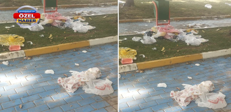 Bu görüntüler Şanlıurfa'ya hiç yakışmıyor! Güzellikleri kendi elimizle kirletiyoruz