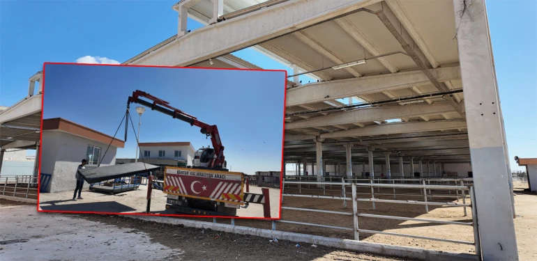 Şanlıurfa Canlı Hayvan Borsasında yeni dönem! Resmen kuruldu